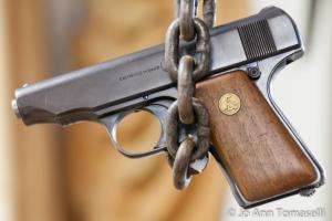 CHAINED TO OUR GUNS Posted on May 5, 2014 by Jo Ann Tomaselli